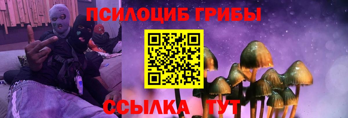 Ефремов  Галлюциногенные грибы мицелий  Вход с VPN 